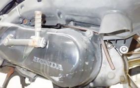 HONDA DIO ZX GEN 2 AF35