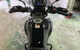 SUZUKI STROM 250ABS DS11A