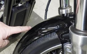 HARLEY FXST1750 2024