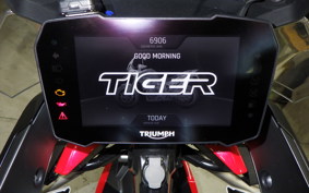 TRIUMPH TIGER 900 GT PRO 2024