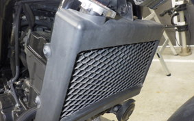 HONDA REBEL 250 2025 MC49