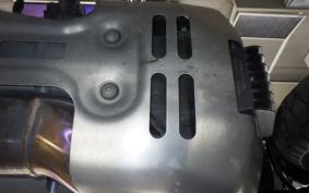 OTHER +HD. ﾊﾟﾝ AMERICA1250S 2018