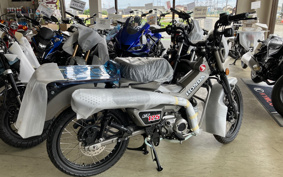 HONDA CT125 HUNTER CUB JA65