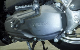 HONDA TACT-4ﾍﾞｰｼｯｸ 2025 AF79