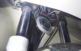 OTHER +UNREGISTERED MODEL by BDS TRIKE125