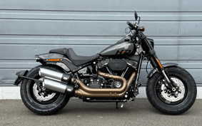 HARLEY  HARLEY FXFBS 2025 YLK