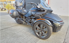 OTHER KANNAMUSPYDER F3-S 2016