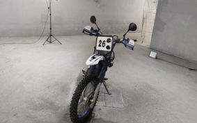 YAMAHA TT250R 4GY