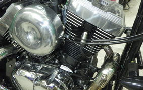 OTHER THUNDER250