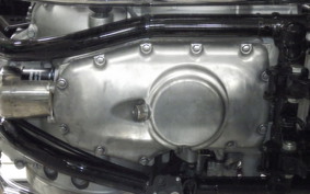KAWASAKI W800 2022 EJ800E