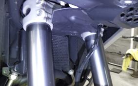 DUCATI MULTISTRADA V4S 2021