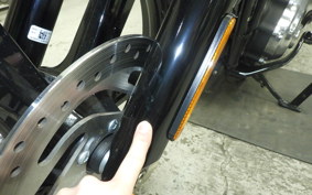 HARLEY FXBB1920 2025