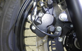 OTHER +UNREGISTERED MODEL by BDS250