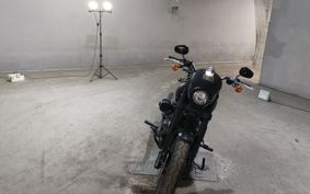 HARLEY FXLRS1920 YWZ