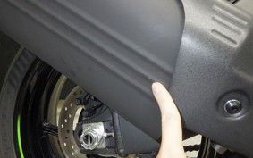 KAWASAKI NINJA ZX-6R A 2025 ZX636J