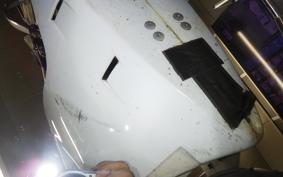 HONDA NSR MINI 2024 RS50