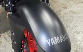 YAMAHA MT-25 A 2006 RG43J