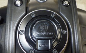 HUSQVARNA SVARTPILEN 401 2022