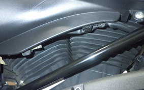BUELL XB9SX LIGHTNING 2010