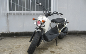 HONDA ZUMAR AF58