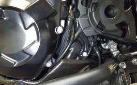 KAWASAKI Z1000 Gen.5 2017