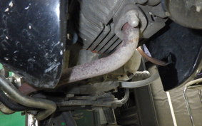 HONDA DREAM 125 2005 ND125M