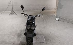 HONDA ZUMAR AF58