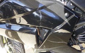 KAWASAKI NINJA 250R 2015 EX250K