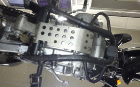 KAWASAKI KLX250D TRACKER