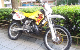 SUZUKI RMX250 S SJ13A