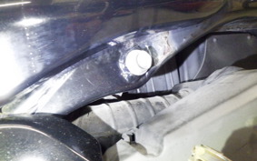 HONDA PS250 2006 MF09