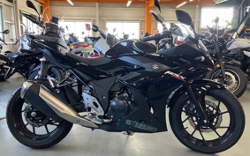 SUZUKI GSX250R DN11A