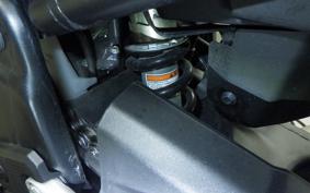 HONDA CBR400R 2024 NC65