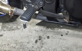 KAWASAKI NINJA 250R 2025 EX250K