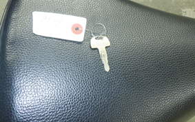 HONDA LITTLE CUB 2026 AA01