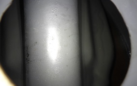 KAWASAKI Z1000 2026 Z1F