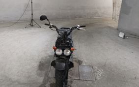 HONDA ZUMAR AF58