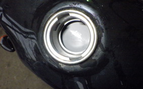 SUZUKI GRASS TRACKER NJ4BA