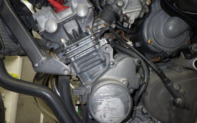 HONDA HORNET 250 2007 MC31