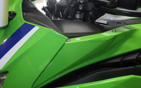 KAWASAKI ZX-4RR 2024 ZX400P