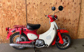 HONDA LITTLE CUB AA01