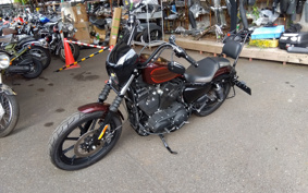 HARLEY HARLEY XL1200NS 2019 LP3