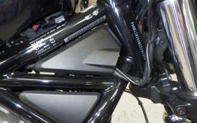 HARLEY RH975 2022
