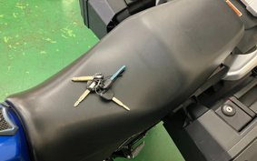 SUZUKI STROM 250ABS DS11A