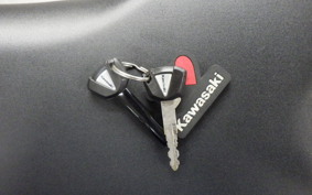 KAWASAKI ZX-25R 1995 ZX250E