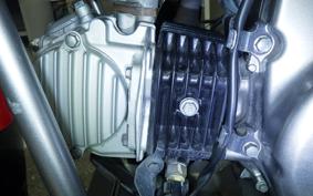 HONDA CT125 HUNTER CUB JA55