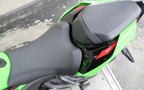 KAWASAKI NINJA ZX-10R 2024 ZXT02L