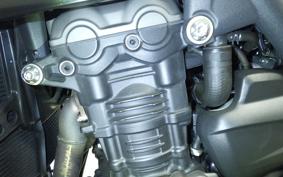 TRIUMPH SPEED TRIPLE RS 2021