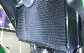 KAWASAKI Z250 SL BR250E