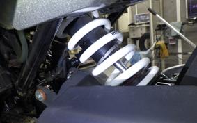 HUSQVARNA SVARTPILEN 250 2020